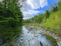 441 Lilliesville Brook