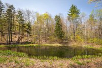 2646 Curtis Hollow