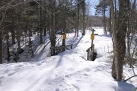 532 East Mountain