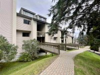 203 Old Mill