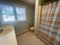 256 Susan
