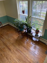 122 Oak