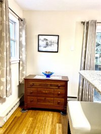 62 Silver Birch