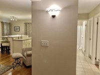 62 Silver Birch