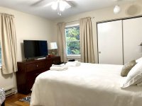 62 Silver Birch