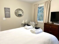 62 Silver Birch