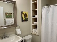 62 Silver Birch