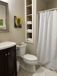 62 Silver Birch