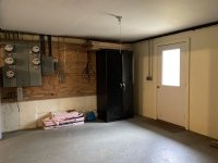 62 Silver Birch