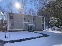 62 Silver Birch
