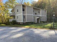 62 Silver Birch