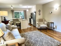 62 Silver Birch
