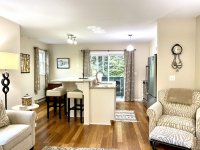 62 Silver Birch