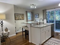 62 Silver Birch