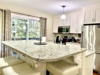 62 Silver Birch