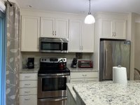 62 Silver Birch