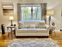 62 Silver Birch