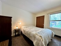 57 Silver Birch