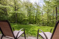907 East Mountain Whiffletree