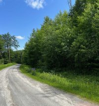 Lot 4 Echo View