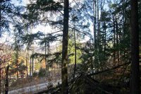 Lot 4 Echo View