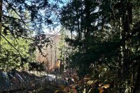 Lot 4 Echo View