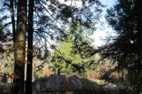 Lot 4 Echo View