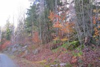 Lot 4 Echo View