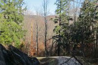 Lot 4 Echo View