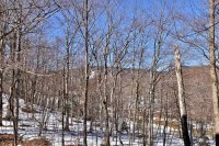 907 East Mountain Whiffletree