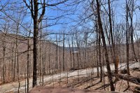 200 Peregine Hawk Mountain Resort