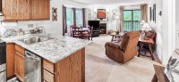 73 Alpine Pico Village