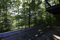 393 Tanglewood