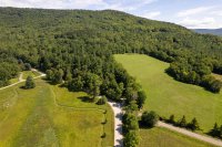 904 Austin Hill Hawk Resort
